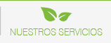 NUESTROS SERVICIOS DQ
